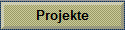 Projekte